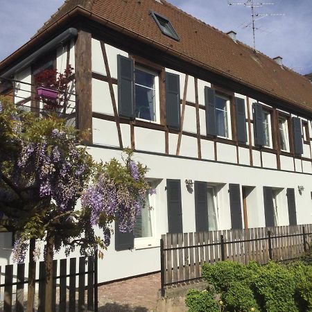 Gite Cote Jardin Ingersheim Luaran gambar