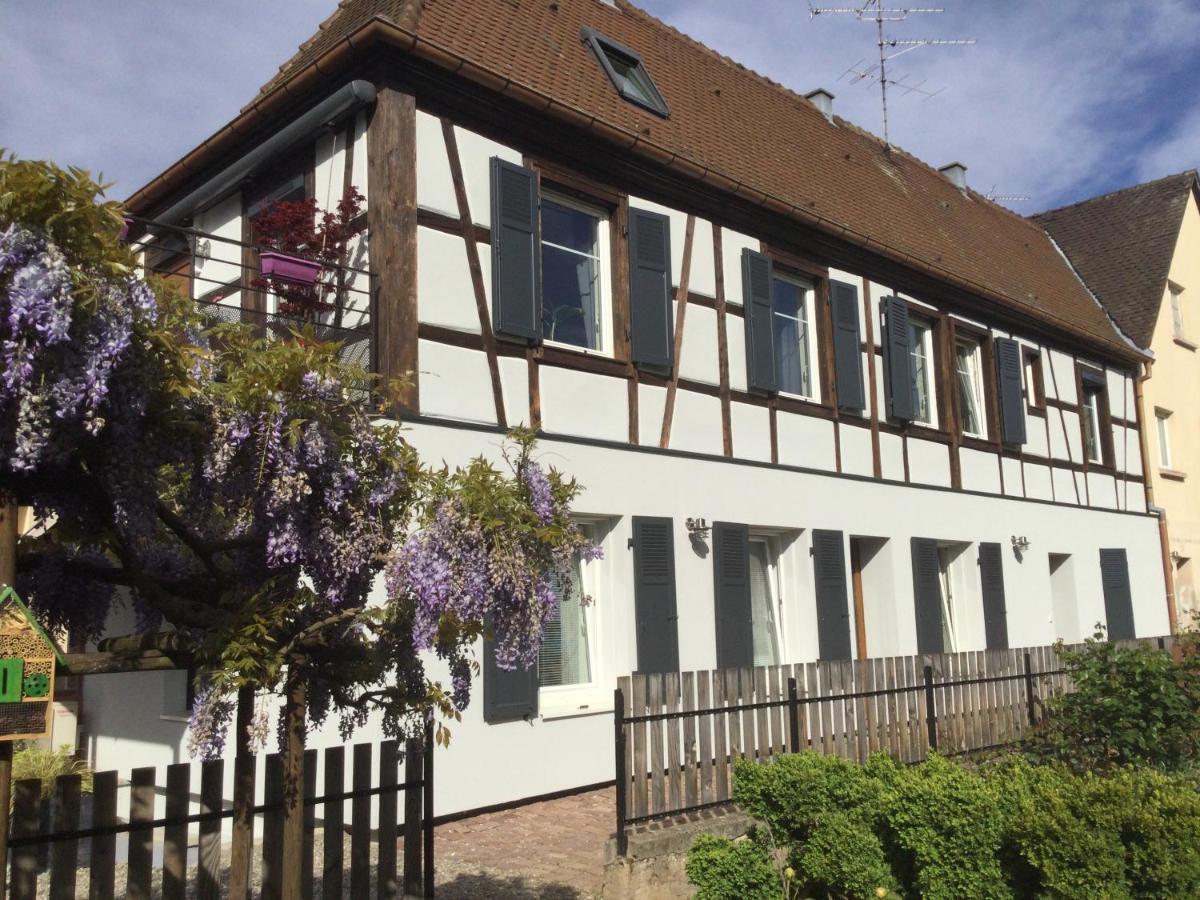 Gite Cote Jardin Ingersheim Luaran gambar
